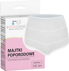 Bocioland Absorbante 2 Bucăți Bocioland Absorbante 2 Bucăți