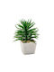 Artificial Cactus H15cm White Pot Ø10cm Design 2