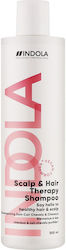 Indola Kopfhaut & Haartherapie 300ml