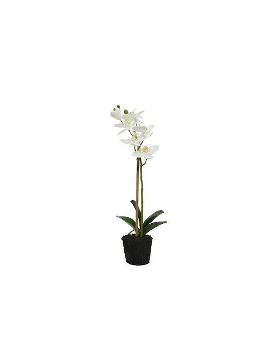 Jardi Τεχνητο Λουλουδι Ορχιδεα 24x17x45cm- Λευκο
