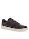 Toms Sneakers Brown