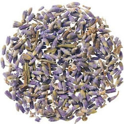 Lavender Dark Blue Price per Kilo