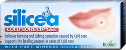 Hubner Silicea Gel pentru Herpes Labial 2g Hubner Silicea Gel pentru Herpes Labial 2g