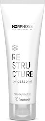 Morphosis Restructure Conditioner 250ml Morphosis Restructure Conditioner 250ml