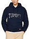 Tommy Hilfiger Sweatshirt Glitter