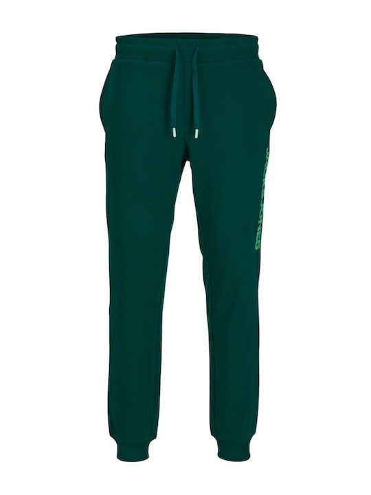 Sweatpants with Elastic Deep Teal