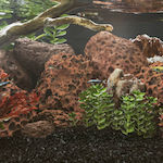 vidaXL Aquarium Decoration Stone 3217187