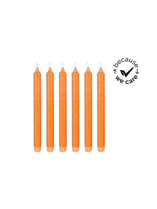 Mica Aromatisches Kerze Kegel mit Orange Duft 24cm 560g 6Stücke