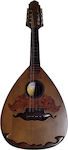 Acoustic Mandolin