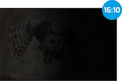 Natec Φίλτρο Οθόνης Natec Φίλτρο Οθόνης