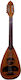 Acoustic Mandolin Curupoto