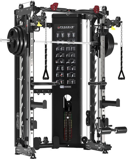 Pegasus Smith mit Gewichten 181kg (2x90.5kg)