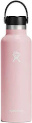 Hydro Flask Standard Flex Cap Bottle Thermos St...