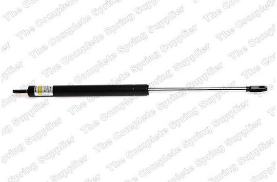 Lesjofors Trunk Shock