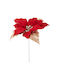 Weihnachtsstern Zweig 25cm N34077 Rot