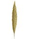 Goldenes Langblatt 84 cm