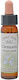 Crystal Herbs Κληματίδα (clematis) Esență Florală 10ml 1buc