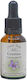 Crystal Herbs Γεντιανή (gentian) Esență Florală 25ml 1buc