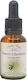 Crystal Herbs Καστανιά (sweet Chestnut) Ανθοΐαμα 25ml 1τμχ