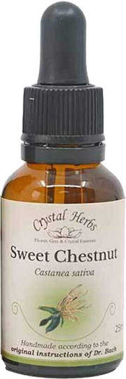 Crystal Herbs Καστανιά (sweet Chestnut) Ανθοΐαμα 25ml 1τμχ