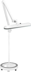 Werkstatt-LED-Lampe Elegant 801-tl Verstellbares Stativ Intensität Weißlichtfarbe