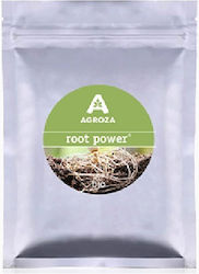 Μυκόρριζες Root Power 24 Τεμ