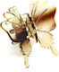 with Butterfly