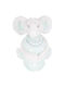 Queen Mother Baby Blanket Elephant Time Velvet Turquoise Vermilion 70x100cm