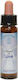 Angel of Love 10ml Crystal Herbs
