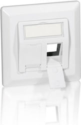 Equip Network Socket with Frame Equip Network Socket with Frame