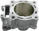 Cilindru din aluminiu Cylinder Works standard 78,00 mm Cc 10001 Honda Crf 250 X 04-18 R 04-09 Bucată