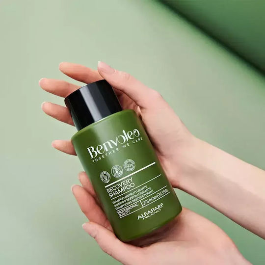 Alfaparf Milano Professional Benvoleo Sampon Reconstrucție/Hrană și Volum pentru Păr Deteriorat 275ml