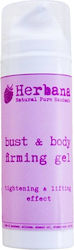 Firming Gel for Bust & Body Firming Gel for Bust & Body