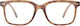 Izipizi L Reading Glasses +1.50 In Brown Colour