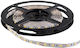Elmark Ταινία LED 12V Θερμό Λευκό Φως 1m Τύπου SMD5050