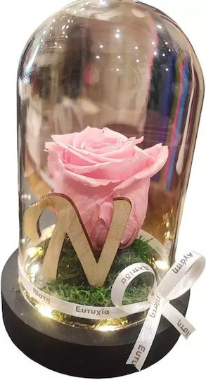 Ewige Rose Glas Anfangsbuchstabe
