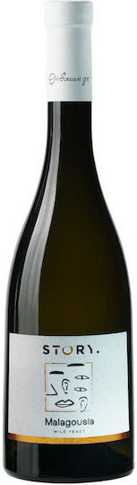 THivaiki Gi Wein Story Malagouzia Weiß Trocken 750ml