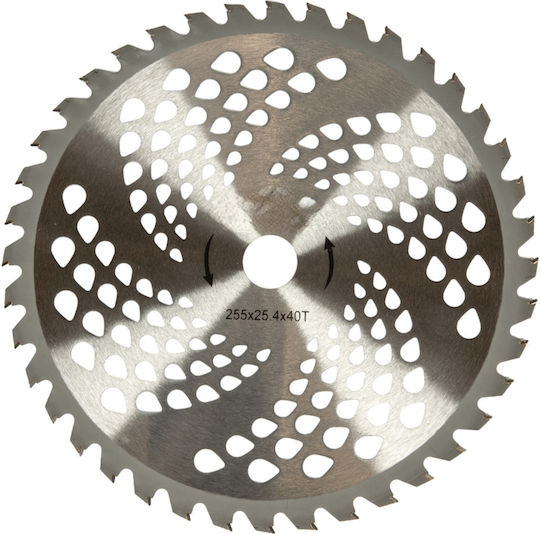 Oval Mower Disc Number 10 Diameter 255 Mm Inner Diameter 25.4 Mm 40 Carbide Teeth