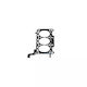 Set garnituri chiulasă Audi A6 4f2 C6 3.0 Tdi Quattro 2004-2006 Corteco 415474p