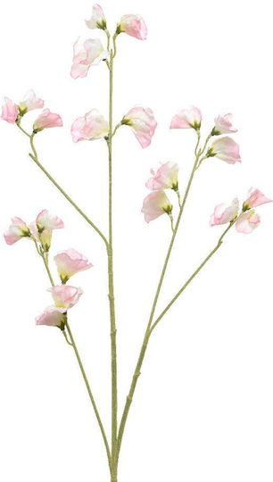 Wildblume