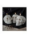 Skull Candle Set Gadgets