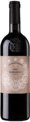 Michele Chiarlo Palas Barbaresco 2019 750 мл Michele Chiarlo Palas Barbaresco 2019 750 мл