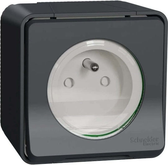 Schneider Electric Mureva Style Power Socket 2p+pe Anthracite Screw Terminals