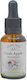 Crystal Herbs Αγριομηλιά (crab Apple) Ανθοΐαμα 25ml 1τμχ