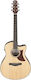 Ibanez Semi-Acoustic Guitar Natural / Open Pore