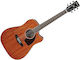 Ibanez Semi-Acoustic Guitar Natural / Open Pore