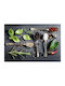 Conceptum Hypnose Wookece 233 Kitchen Mat Runner Black-multi 60x100εκ.