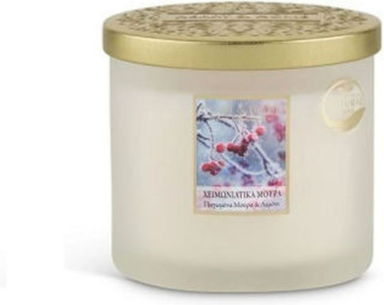 "Winter Berries" Scented Soy Candle Double Wick 220g C01000425 Heart Home