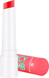 Essence Unt Lucios de Buze 2.5gr