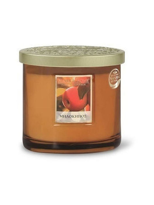 Heart & Home Aromatic Soy Candle in Jar with Apple Orchard Scent 220g